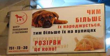 баннер